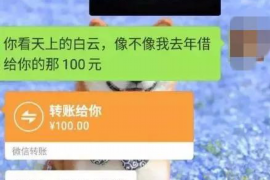 泰州如何避免债务纠纷？专业追讨公司教您应对之策